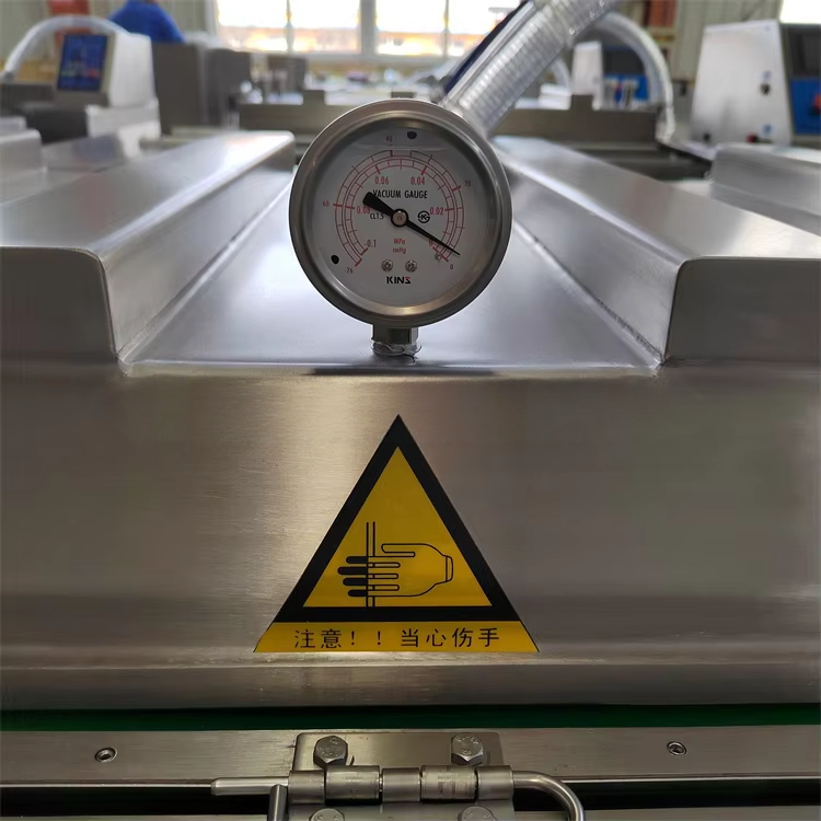 Máquina de envasado al vacío de cinta continua Solución de envasado industrial de alta velocidad